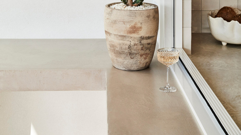 African milk tree growing tall in a pot indoors