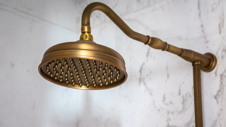 brass vintage shower head