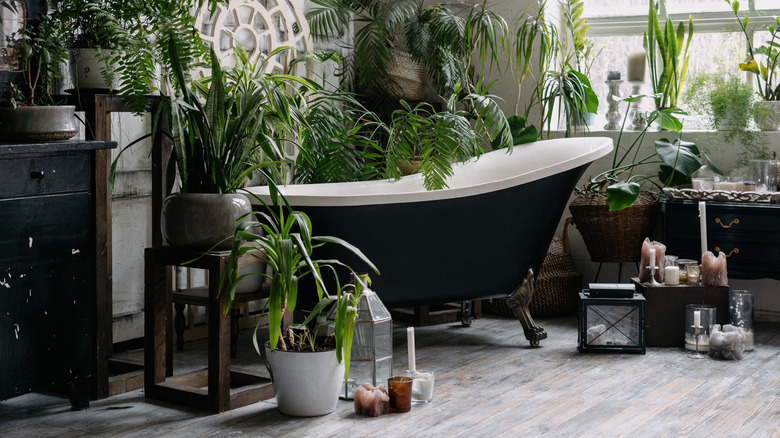 Candles around vintage bath tub