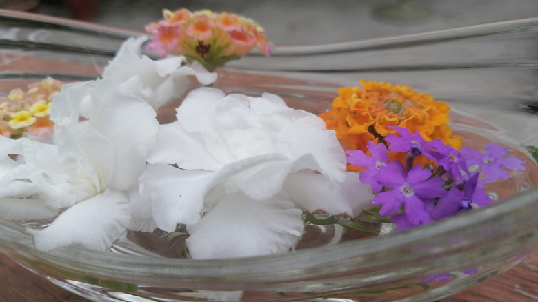 Flowers floating in water inside decorative glass bowl on wooden surface