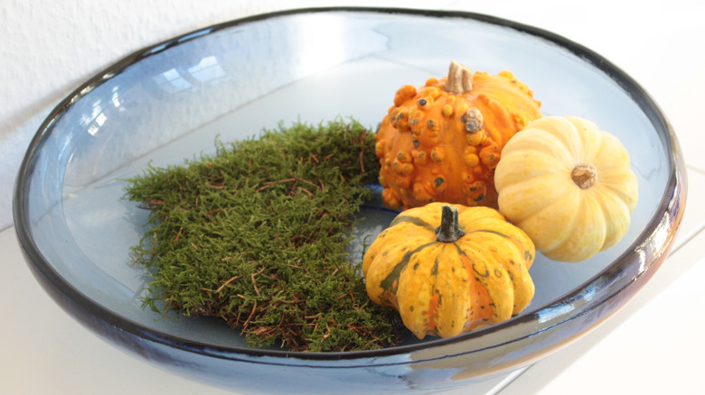 glass bowl with pumpkins and moss