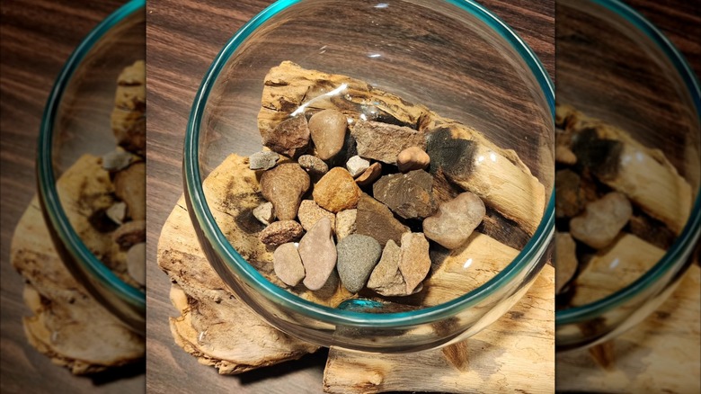 glass bowl with rocks on top of larger log and rock pieces