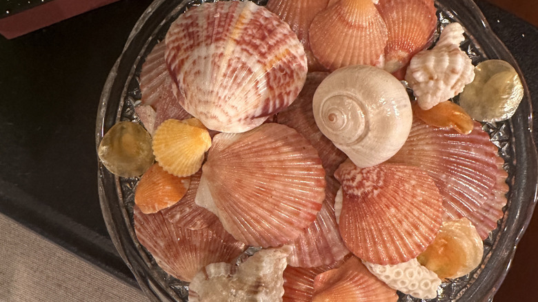 glass bowl with pink, yellow, and orange seashells