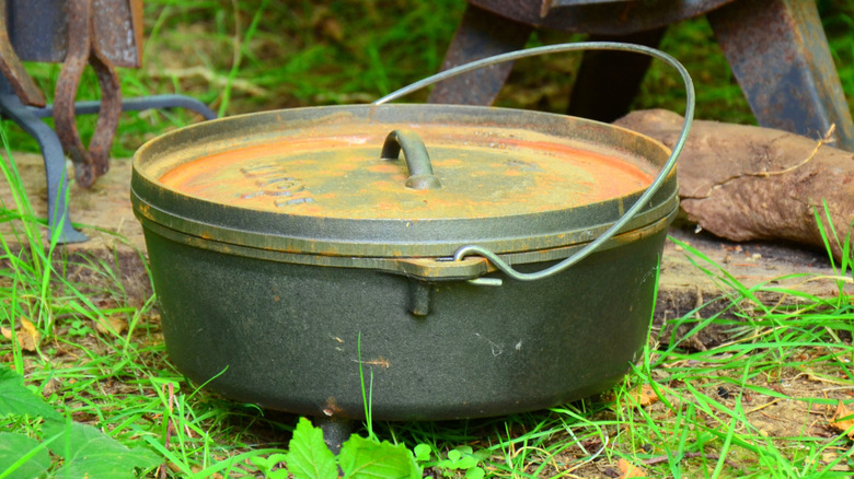 Weathered cast iron dutch oven sitting on grass