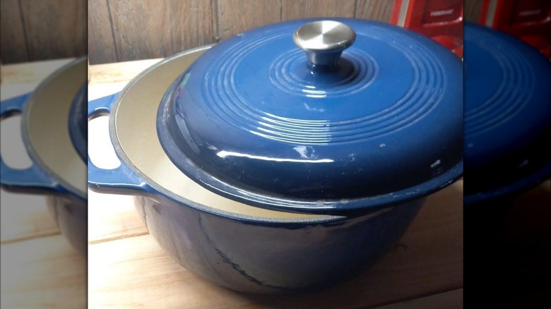 Enameled cast iron pot
