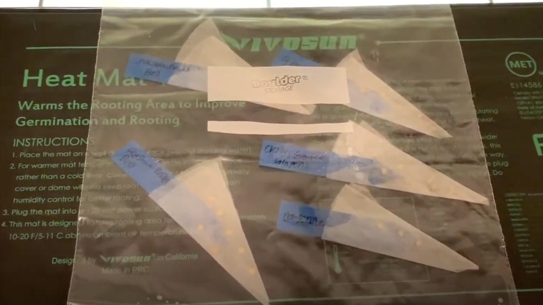 A plastic baggie with labeled coffee filter seed starters.