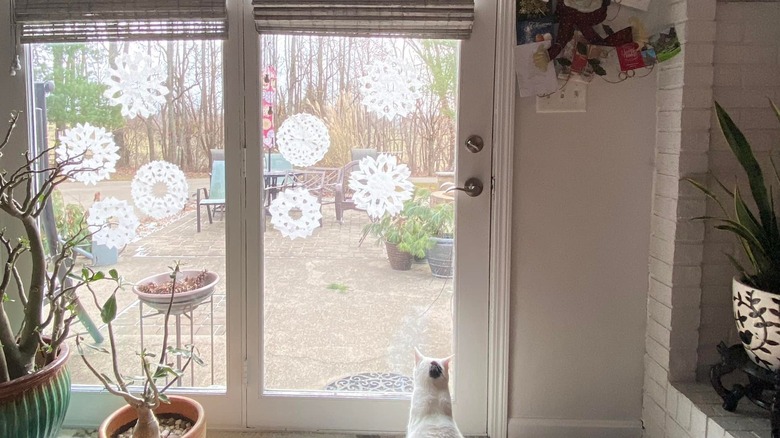 A back door with coffee filter snowflakes on it.