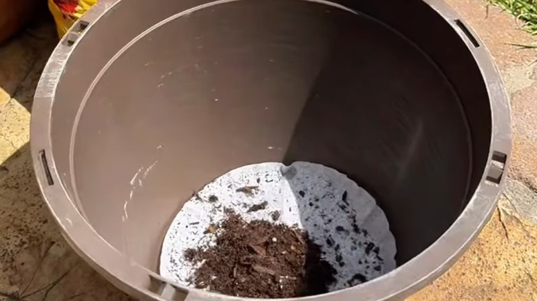 Gray planter with coffee filter and soil on bottom.