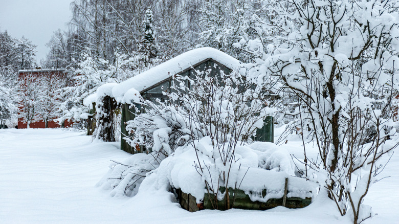 A greenhouse in a snow-covered garden during winter.