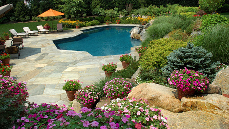 A garden full of flowering plants, shrubs, grasses, and large boulders surrounds a pool in a large residential backyard.