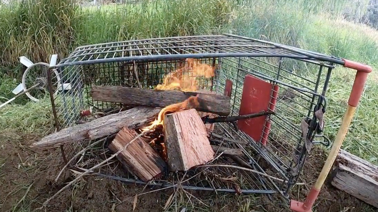 A fire burns inside a shopping cart that is lying on its side in an overgrown backyard.