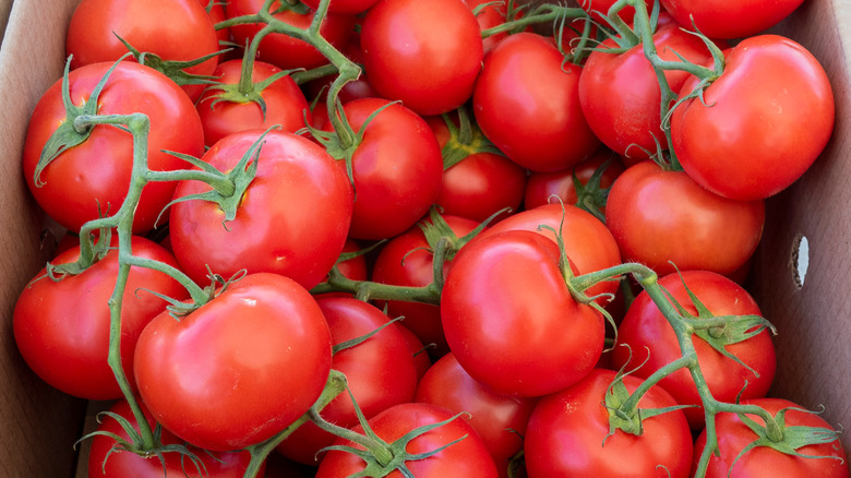 Red, round 'Carmellos' tomatoes on vines in a cardboard box
