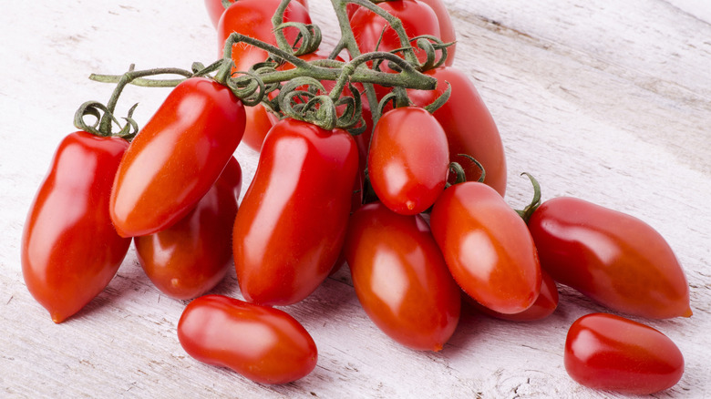Ripe 'San Marzano' tomatoes on a vine sitting on a white wooden surface