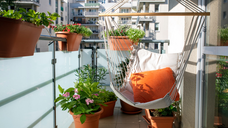 hammock on patio with plants