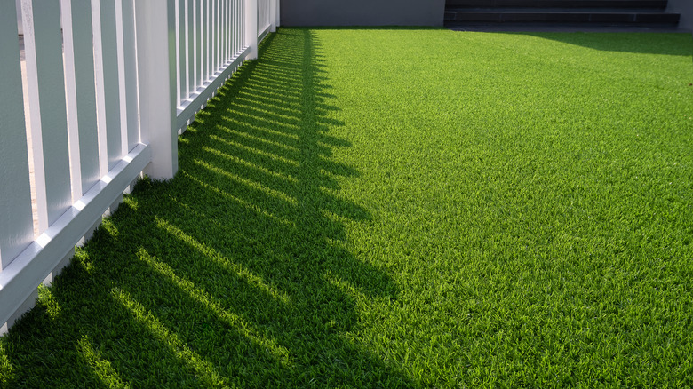 white fence and lawn