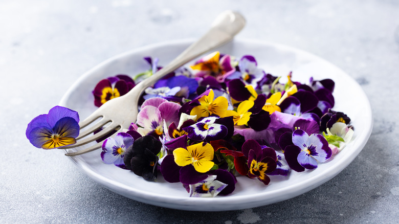 pansies on a plate 