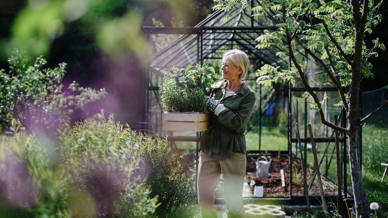 women in a greenhouse