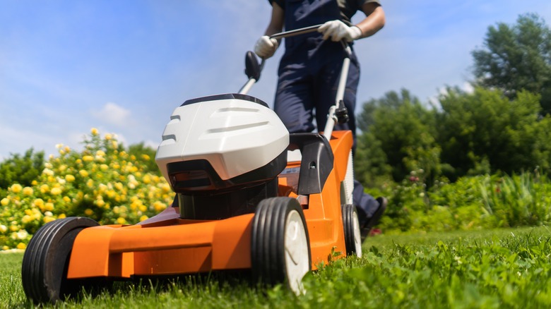 push mower cutting grass