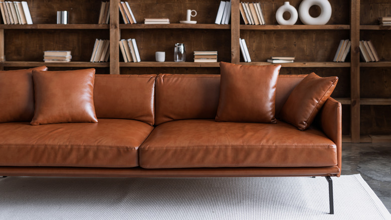 modern leather brown sofa