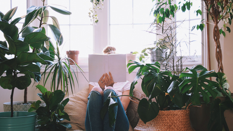 Lots of plants in room