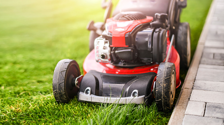 red push lawn mower