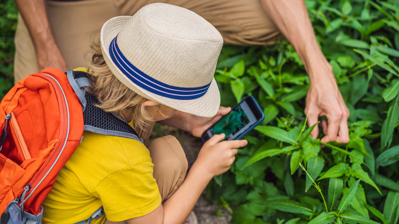 Boy taking photo of plant