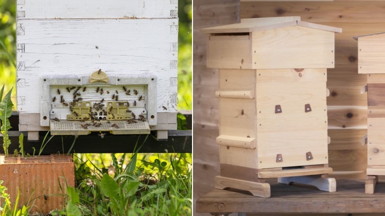 Bees gather at the entrance of a Langstroth hive; a Warre hive sits on a wooden table