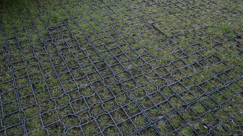 Plastic pavers installed over a patchy lawn