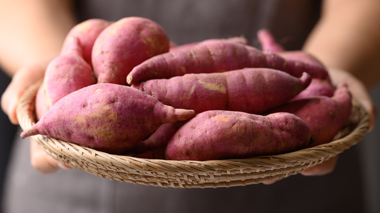 Person holding a basket with sweet potato tubers