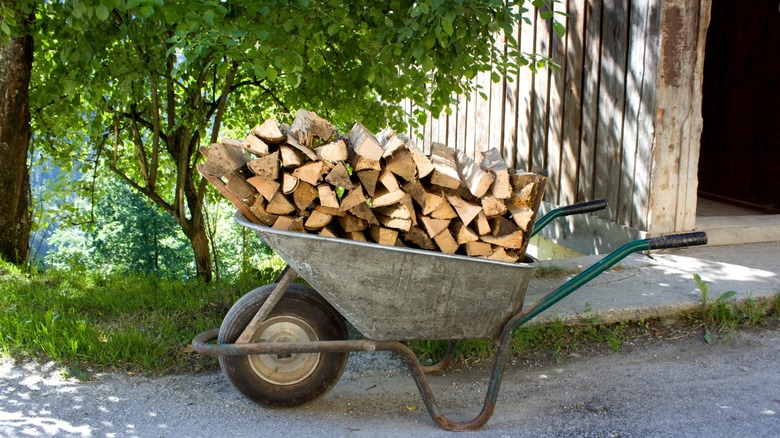 A traditional wheelbarrow holding a pile of logs in the backyard.