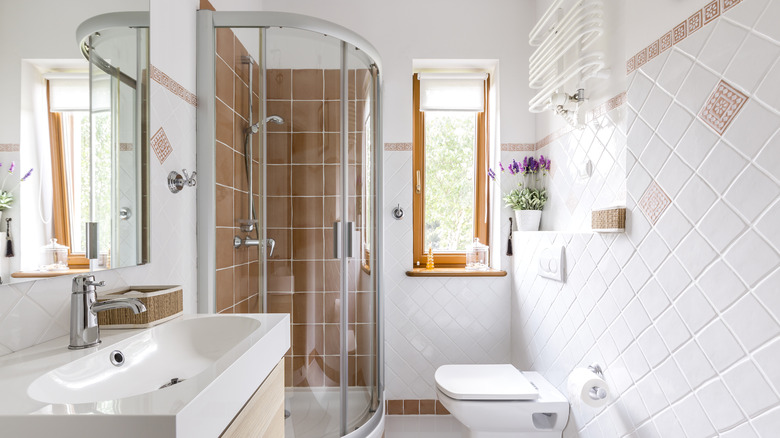 roller shades bathroom
