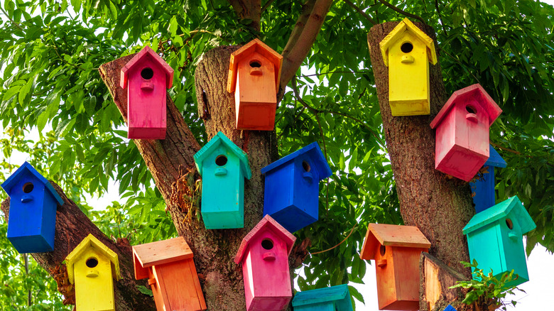 colorful birdhouses on a tree