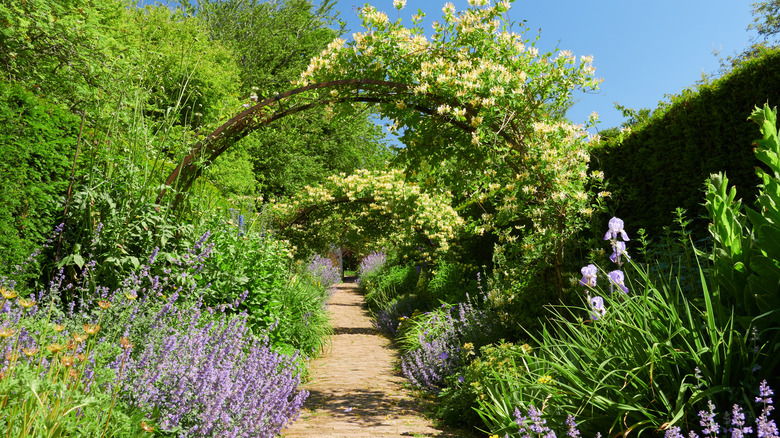 floral paths