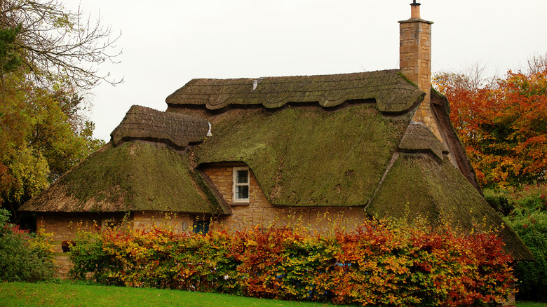 traditional English cottage