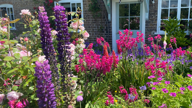 cottage with beautiful flowers