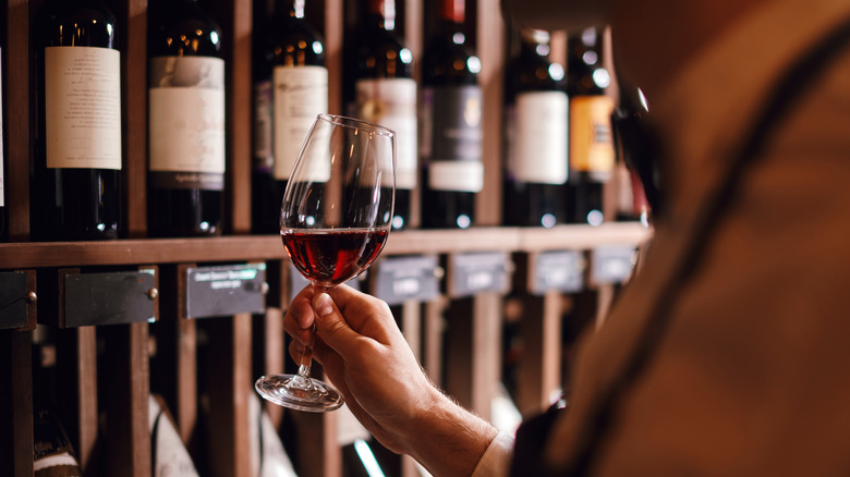 Man standing near wine cellar 