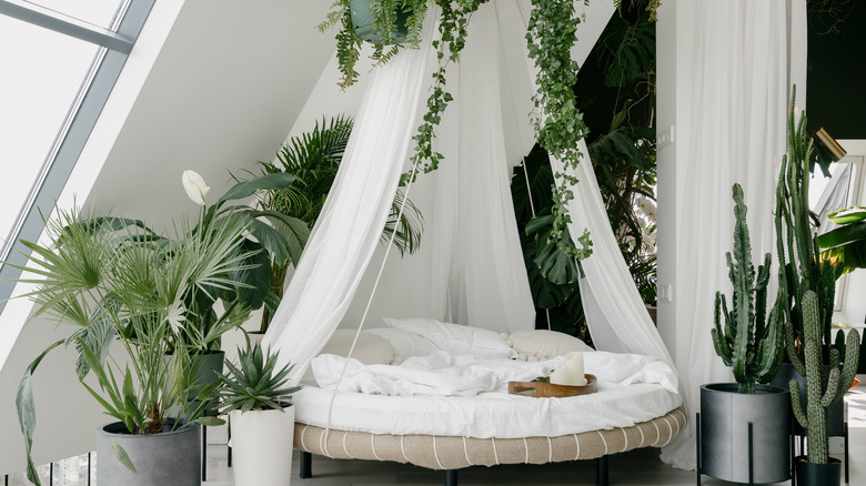 Floating bed sheer canopy