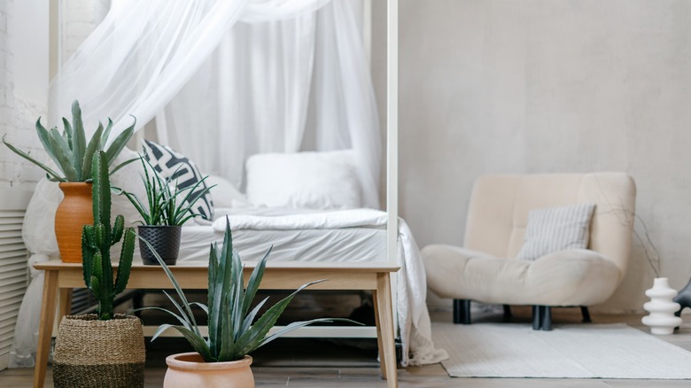 Simple bedroom canopy bed
