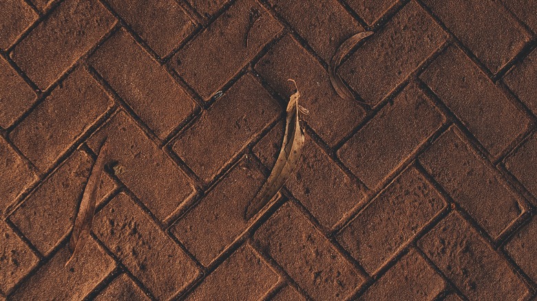 patterned bricks for patio