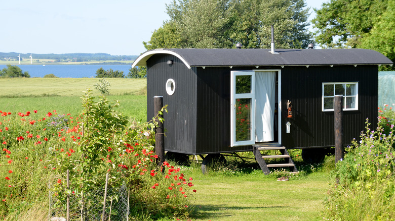 Tiny black house in meadow