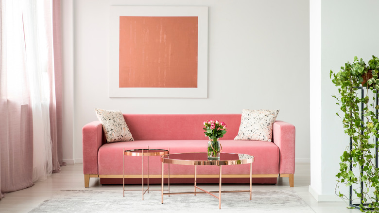 pink couch with green plants