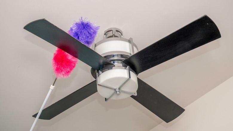 person dusting ceiling fan