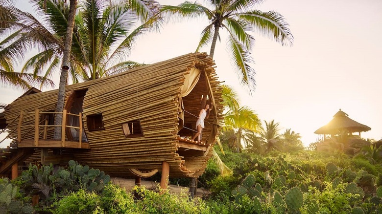 bamboo treehouse with palm trees