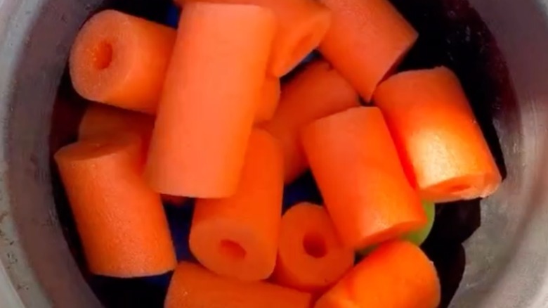 A planter filled with cut up orange pool noodles.