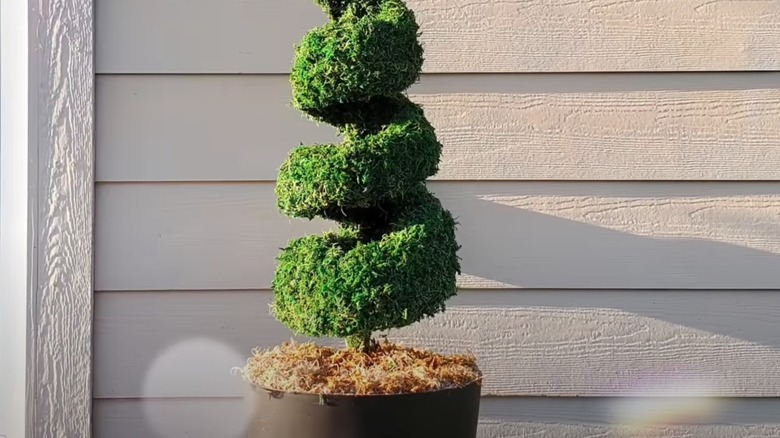 Green fake shrub outside of house.