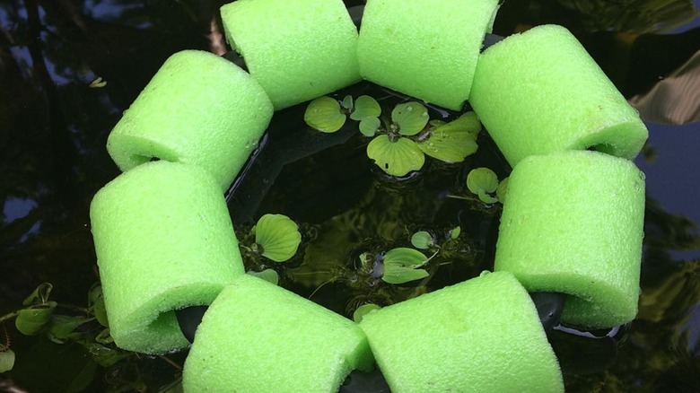 Green foam noodle floating planter.