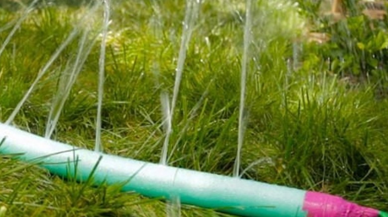 Green pool noodle as water sprinkler.