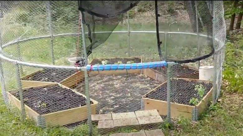 A trampoline garden with growing plants.