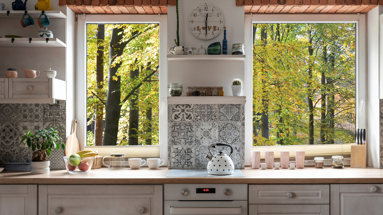 A cozy cottage style kitchen with two windows