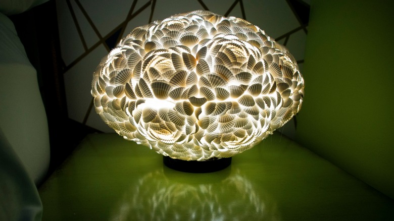 An illuminated seashell lamp on nightstand.